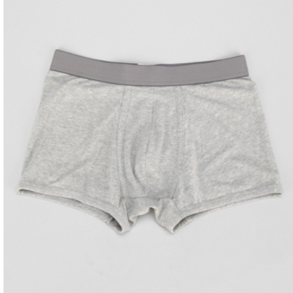 URBAN OUTFITTERS Briefs L TRUNKS Stretch 36-38" Pouch Cotton Blend Grey NWT